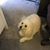 Cindy Dickan Rancier's profile image