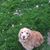 Sheena Stewart-Taylor's profile image