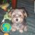 Benjamin Eads's profile image
