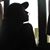 Miguel Jeffray Rios's profile image