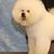 Renee Lauer's profile image