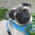 Betsy Hamilton's profile image