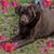 Judith Kauffman's profile image