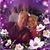 Suzanne Pearce Booker Rockwell's profile image