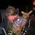 Amy J Haggan's profile image