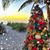 Kathy Sullivan Watson's profile image
