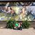 Terry Pascarelli Anderson's profile image