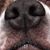 Ben Schmalz's profile image