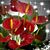 Rossy Flores's profile image