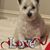 Helene Sedlik Butler's profile image