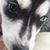 Tammy Hiller Koffarnus's profile image