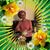 Sarah Haayer's profile image