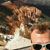 Joshua Randolph Hundley's profile image