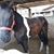Emiliano Leal's profile image