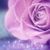 Emilia Recendez's profile image