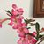 Antonia Garcia's profile image