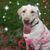 Amy Reber's profile image