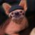 Mike Scherrer's profile image