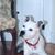 Mary Allen's profile image