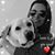Lynn Domenici's profile image