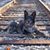 Kathy Kueppers Miles's profile image