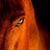 Judy Collins's profile image