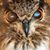 Rich Janzaruk's profile image