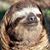 David Arnold's profile image