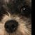 Teri Clark's profile image