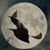 Shilo Johnson-Holcomb's profile image