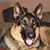 Nancy Hansen's profile image