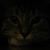 Olaya Cuervo's profile image