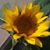 Rick Doty's profile image