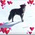 Nancy Holschuh's profile image