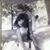 Maria Marsolino's profile image
