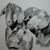 Linda Sandland Wright's profile image