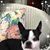 Debbie Harris's profile image