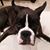 Lorrie Doyle's profile image