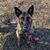Jack Beckwith Jr's profile image