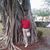 Josue Osvaldo Nova Rodriguez's profile image
