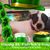 Estelle Barbour's profile image