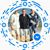John McCaffrey's profile image
