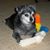 Sandy Adams's profile image