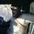Antonio Chaschin's profile image