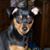 MaryAnn Mossman's profile image