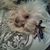 Linda Herrera's profile image