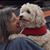 Tina Baldwin's profile image