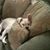Jason Pugsley's profile image