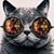 Pam Wienke's profile image