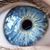 Ken Voisine's profile image